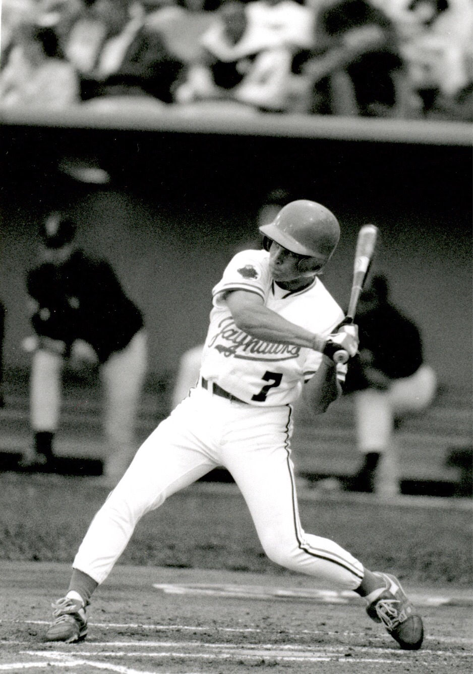 baseball 1993